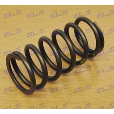 [42] A1300530022 Valve spring in. 250-280SL