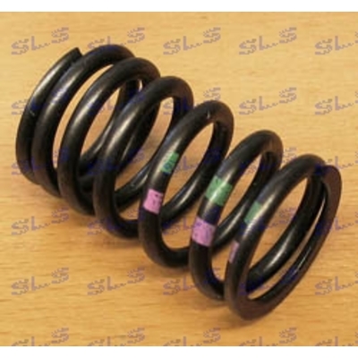 A1800530620 Valve spring, Outer