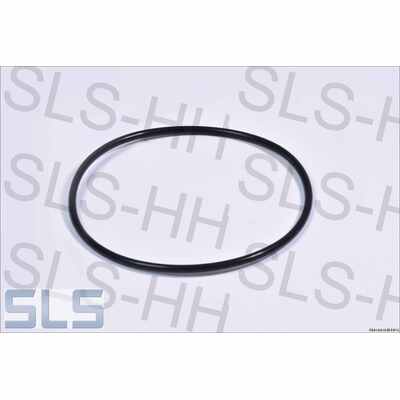 O-ring e.g. Gearbox housg frt FN