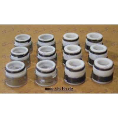 [55] Rep.kit valve seals 250/280SL , 3.67 ->