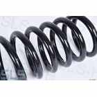 [80] A1103243004 Rear spring W110 / 220SEb/C