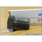 Bolt, torque converter