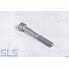 Bolt, universal joint 230SL (L70)