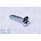 [15] Chromed screw countersunk eg.door panel