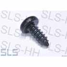 N000000000460 Rest: Panelling screw 4,8 x 14