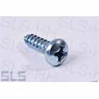 [45] pan head tapping screw zinc plated 3,9 X 13