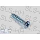 [BlechSenkLinse] Panelling screw