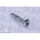 [32] raised countersunk head tapping screw, chrome plat