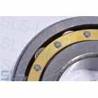 [10] Rear axle roller bearing, RT, (drum shape rollers)