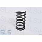 Rear suspension spring Lt.