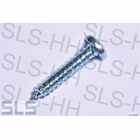 [42] Screw 3,9 x 19 e.g. Bonnet-rubber