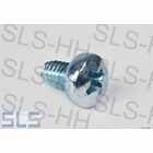 Screw, M4X6 Phillips, e.g switch