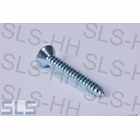 Self-tapping screw 4.2 x 32 galvanized, countersun