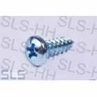 Self-tapping screw with Phillips 4.2 X13 galvanize