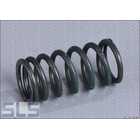 Valve spring 