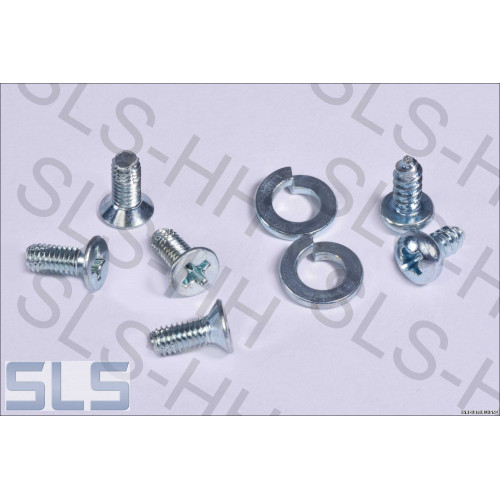 screws, B-post chrome cover caps