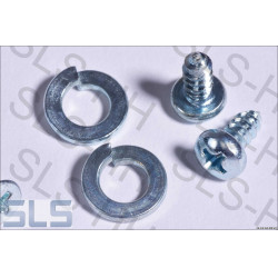 screws, B-post chrome cover caps